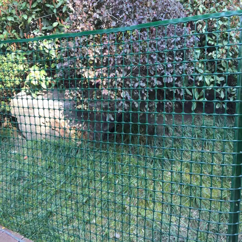 Clôture de jardin de maille carrée en plastique temporaire de couleur verte de 20 * 20mm HDPE